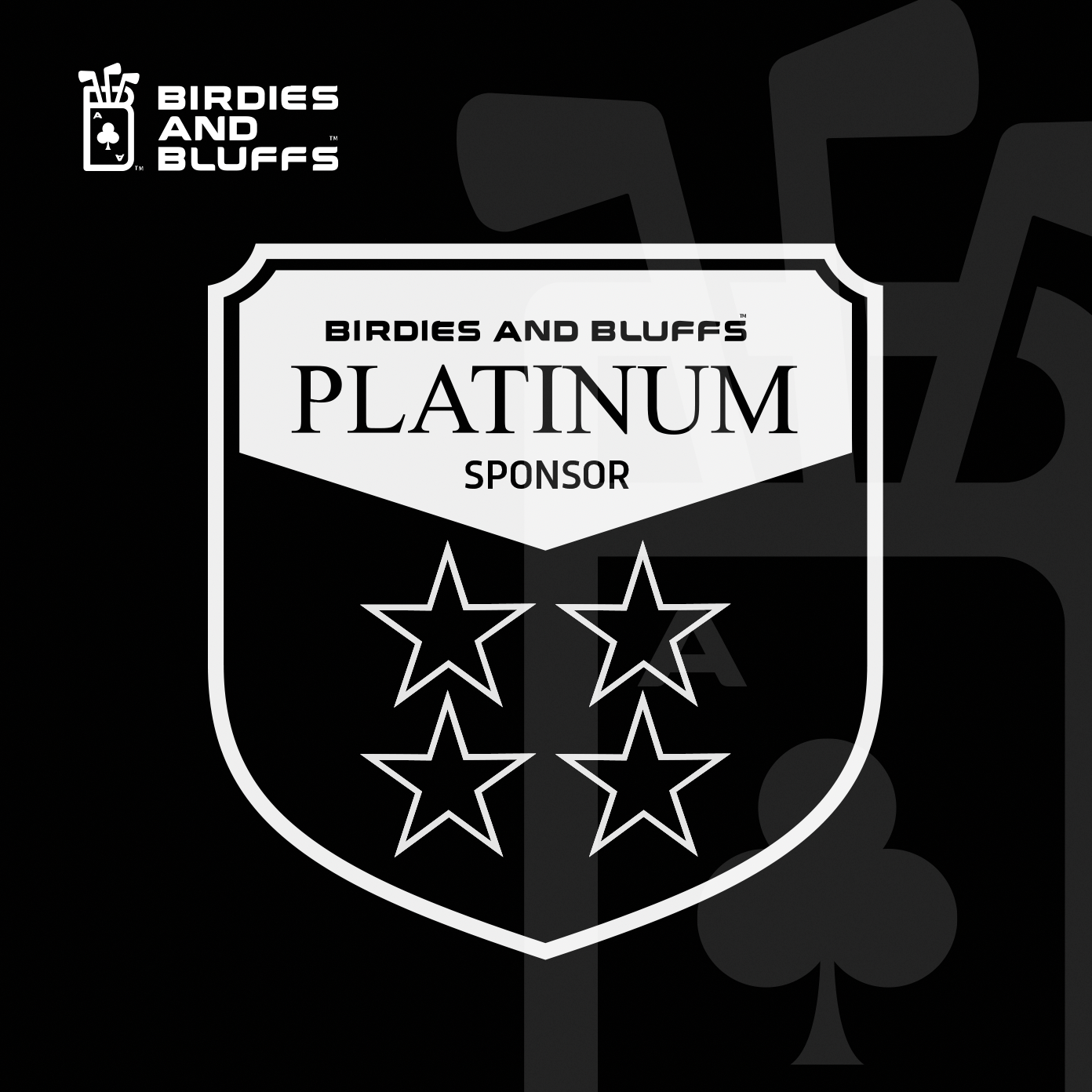 Platinum Sponsorship